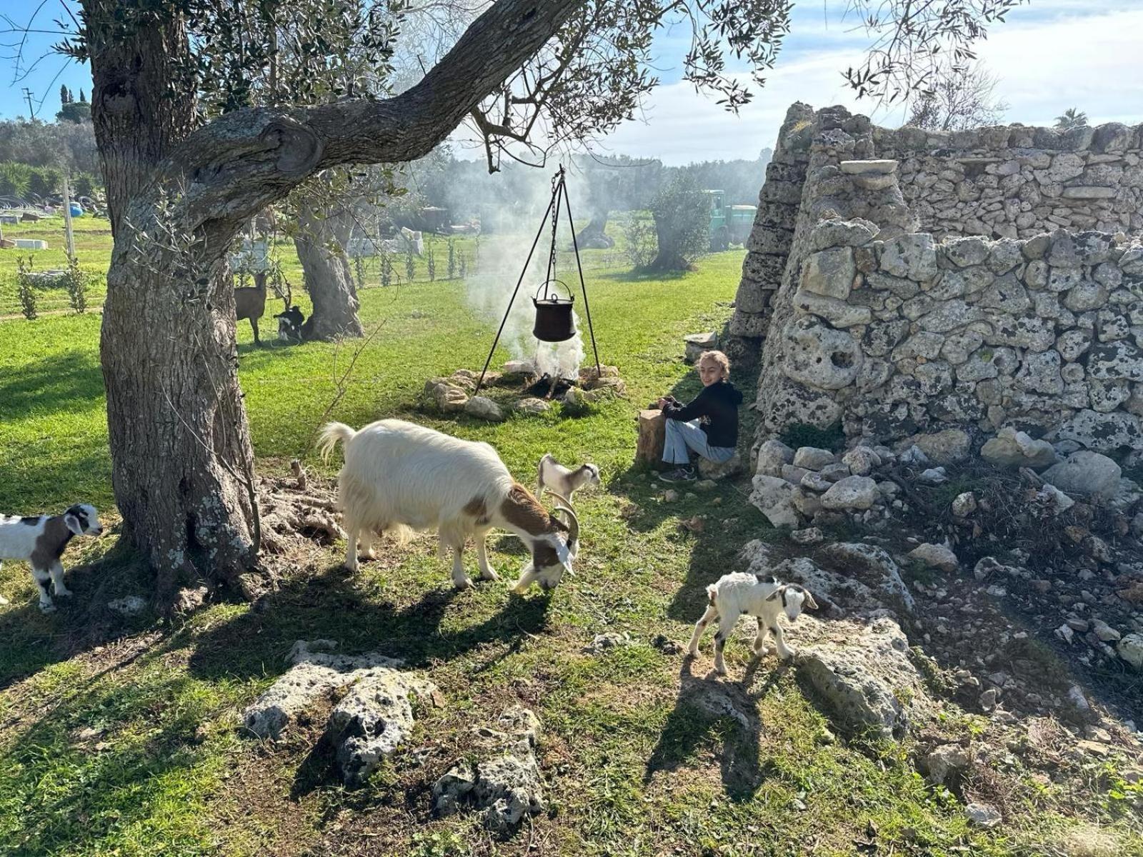 Tenuta Cursano Santa Cesarea Terme Εξωτερικό φωτογραφία